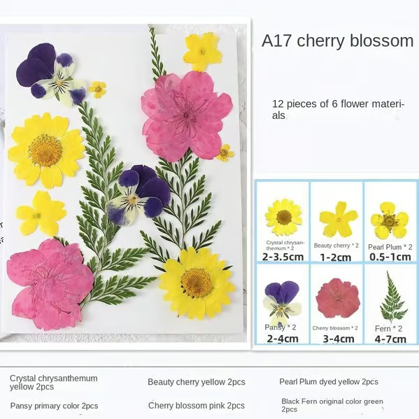 🔥🎉Transparent Dried Flower Bookmarks Kit