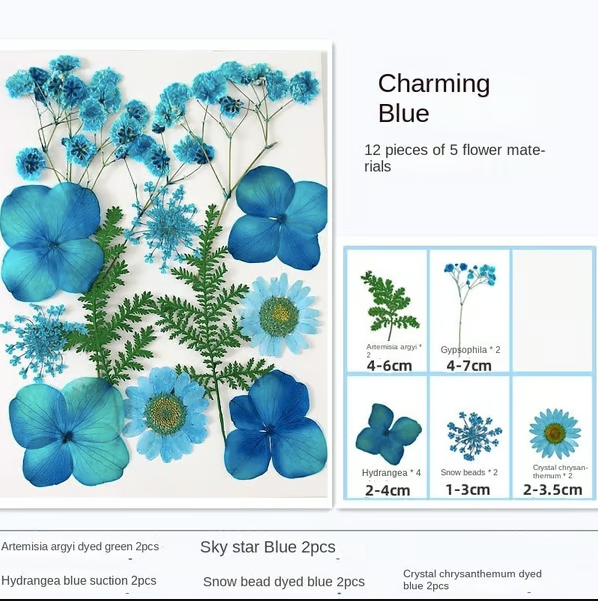🔥🎉Transparent Dried Flower Bookmarks Kit
