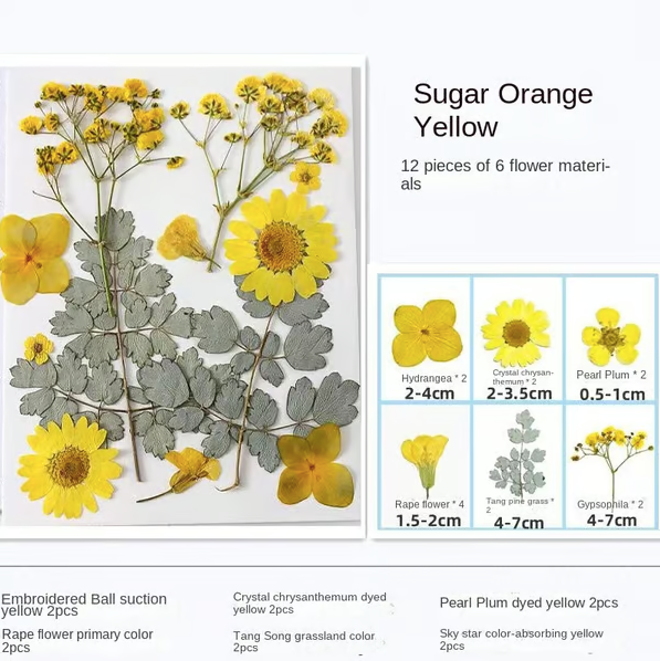 🔥🎉Transparent Dried Flower Bookmarks Kit